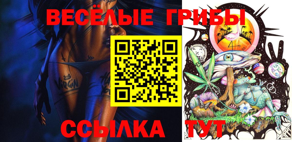 Псилоцибиновые грибы GOLDEN TEACHER Большой Камень